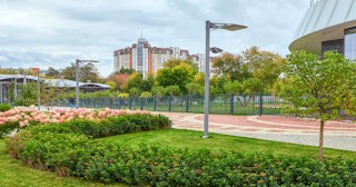 Профессиональное озеленение улиц в Тихорецке в октябре