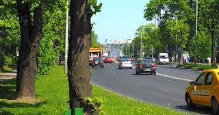 Посадка деревьев и кустарников в Тихорецке — стоимость от 1237 руб.